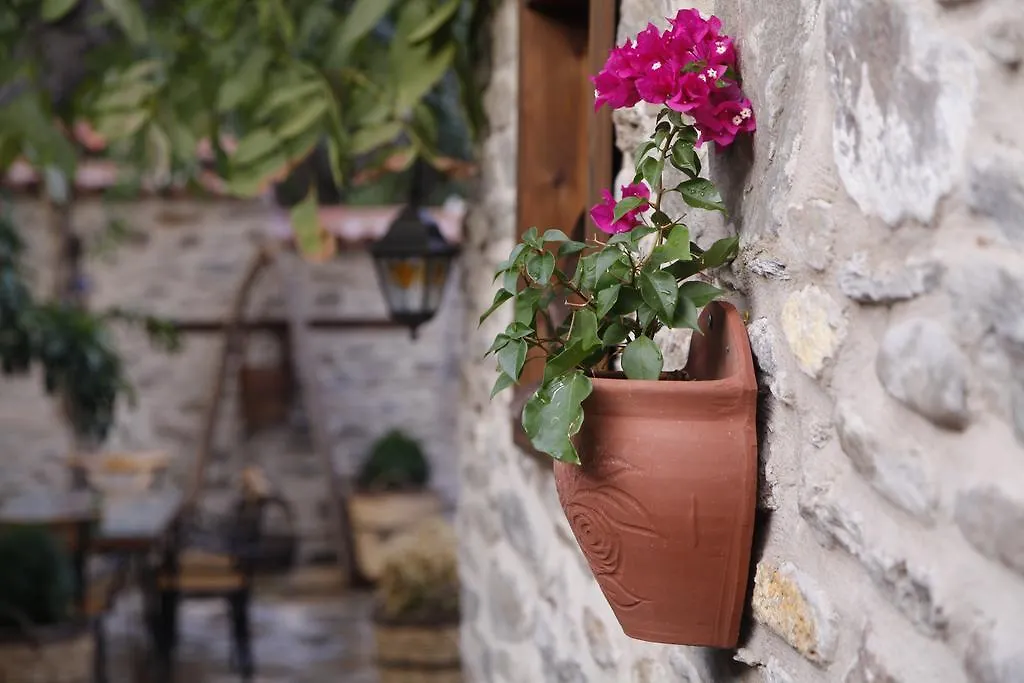 Yeni Gelin Evi Apartment Birgi Homestay
