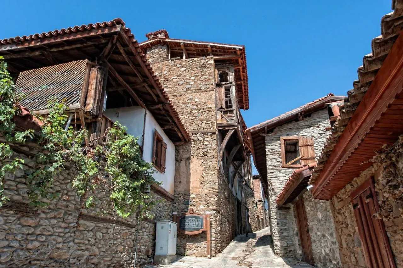 Yeni Gelin Evi Apartment Birgi Homestay